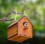 Wooden Bird Nest