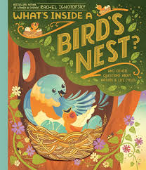 birds nest